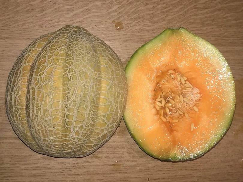 Oregon Delicious sárgadinnye, Cucumis melo, dinnye, sárgadinnye